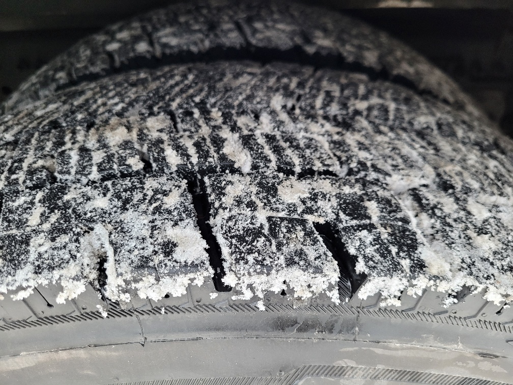 20260121_151552_resized 20260121_151552_resized