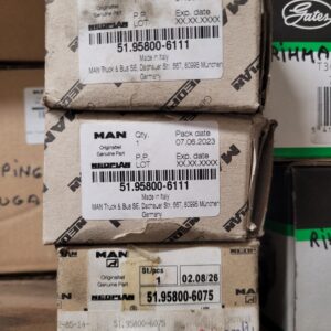 20251211_093843_resized 20251211_093843_resized