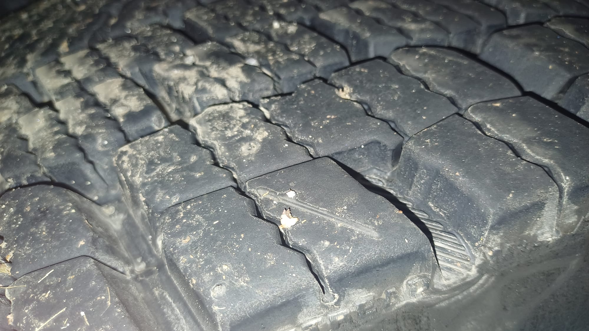 WhatsApp Image 2026-01-29 at 16.31.58 (4) WhatsApp Image 2026-01-29 at 16.31.58 (4)